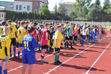 Sportovní festival